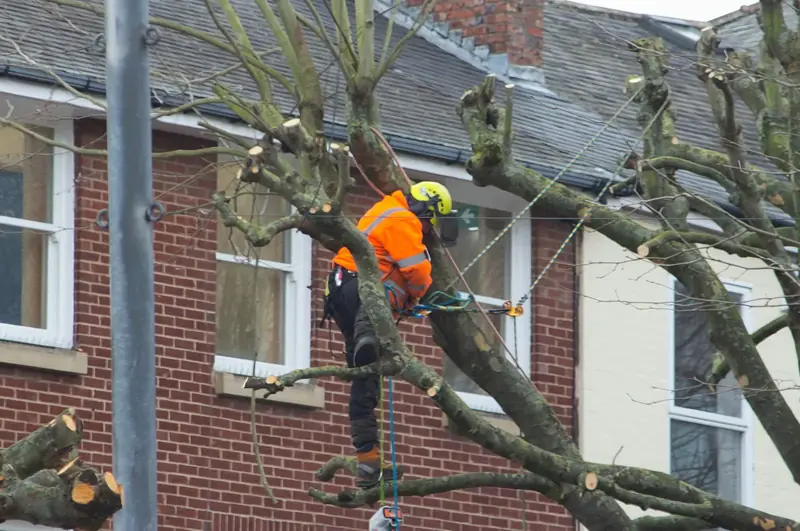 Élagueur en tenue orange qui taille les branches d’un arbre devant une maison en brique